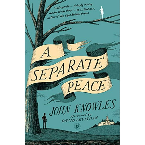 Pre-Owned A Separate Peace, by John Knowles, (Paperback), Literature & Fiction, English