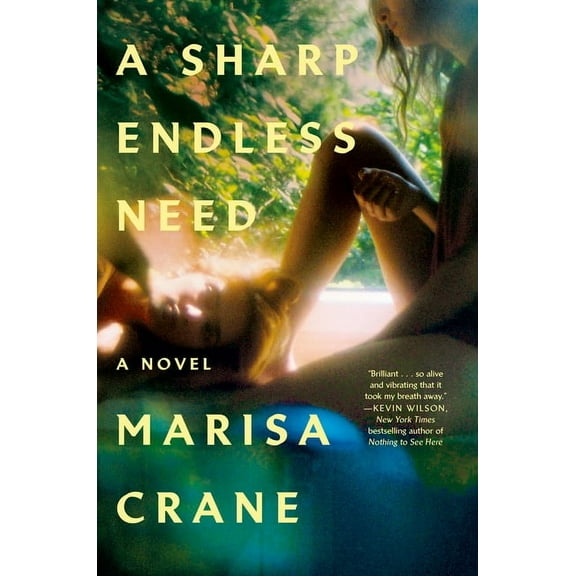 A Sharp Endless Need, (Hardcover)