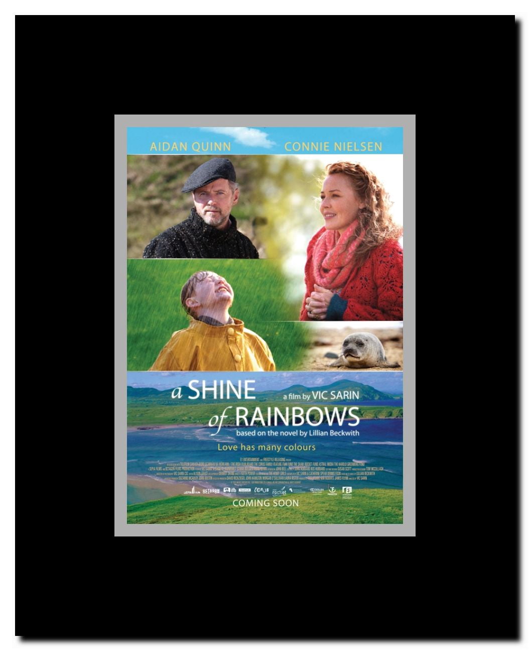 A Shine of Rainbows Framed Movie Poster