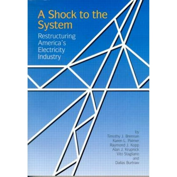 Pre-Owned A Shock to the System : Restructuring America's Electricity Industry (Paperback) 9780915707805