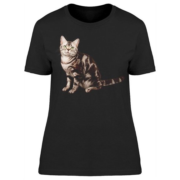 A Shorthair Kitten: Looking Up T-Shirt Women -Image by Shutterstock, Female XX-Large