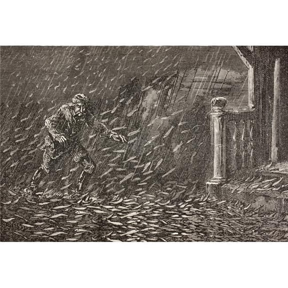 A Shower of Fish In Transylvania, Romania From The Book Chips From The Earths Crust Published 1894 Poster Print, 34 x 24 - Large