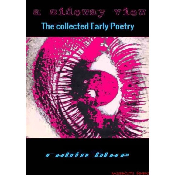 A Sideways View, (Paperback)