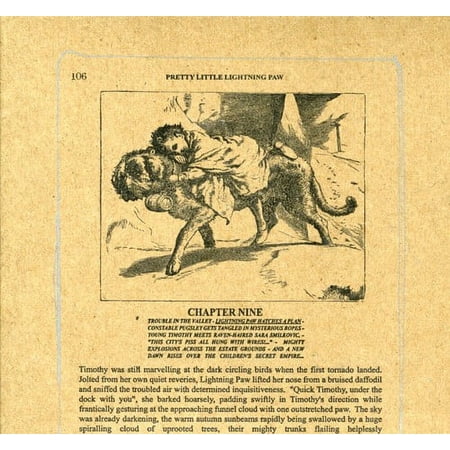 A Silver MT. Zion - Pretty Little Lightning Paw - Music & Performance - CD