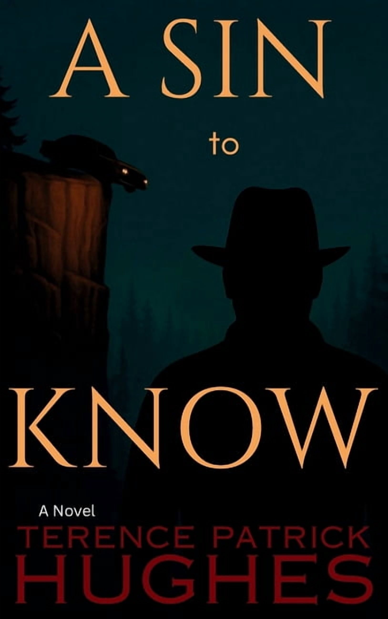 A Sin to Know, (Hardcover)