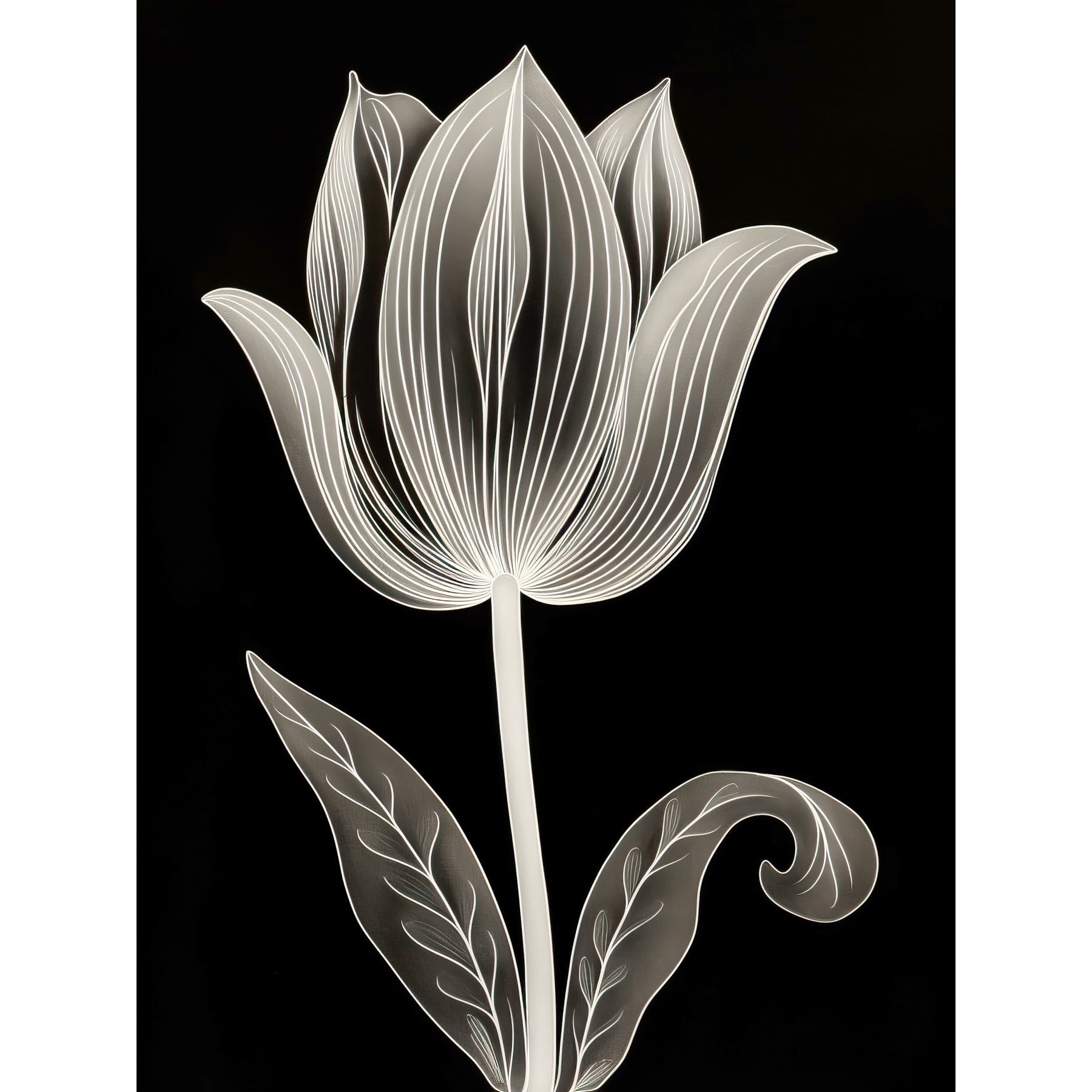 A Single Tulip Flower Black and White Folk Art Extra Large XL Wall Art Poster Print
