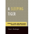 thumbnail image 1 of A Sleeping Tiger: Ethnicity, Class, and New Dayak Dreams in Urban Sarawak, 1 of 1
