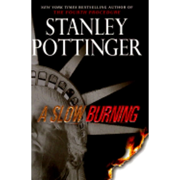 Pre-Owned A Slow Burning (Hardcover) 0525945415 9780525945413