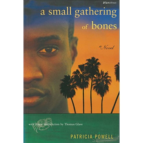 Pre-Owned A Small Gathering of Bones (Paperback) 0807083674 9780807083673