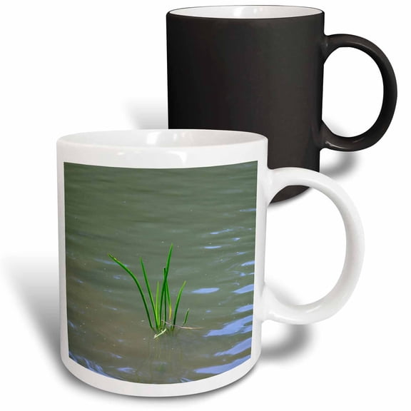 3drose, a Small Group of Green Ling or Sedge Plants in the Water, 11oz Magic Transforming Mug