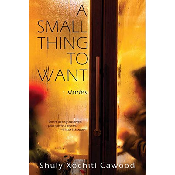 Pre-Owned A Small Thing to Want (Paperback) 1950413179 9781950413171