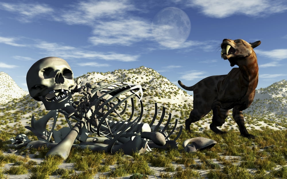A Smilodon saber-toothed cat discovers human remains Canvas Art - Mark StevensonStocktrek Images (18 x 12)
