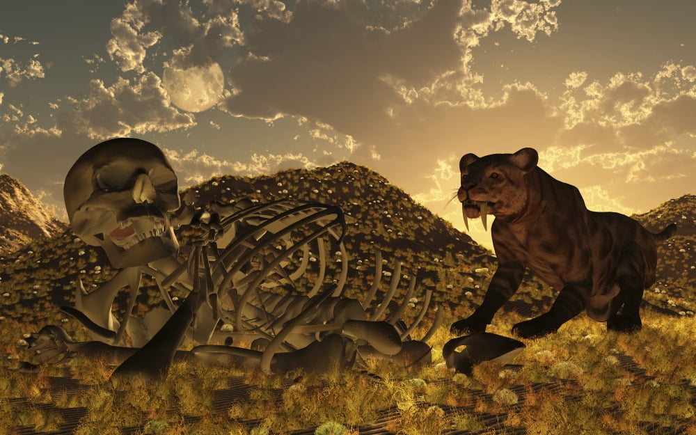 A Smilodon saber-toothed cat discovers human remains Canvas Art - Mark StevensonStocktrek Images (18 x 12)