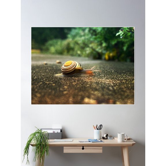 A Snail'S Pace Poster Wall Art, Modern Wall Decor For Living Room Bedroom, 8x12 UNFRAMED
