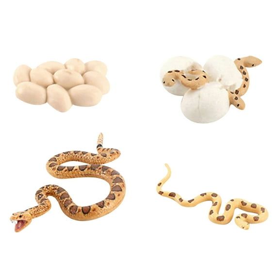 A Snake Life Cycle Toy Cobra Model Simulation Educational Animal Figurines For Kids Nature Learning