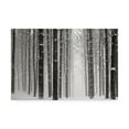 thumbnail image 1 of A Snowy Walk V' Canvas Art by James McLoughlin, 1 of 4