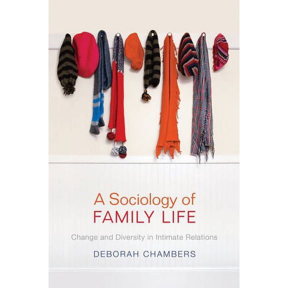 Pre-Owned A Sociology of Family Life (Paperback) 0745647790 9780745647791