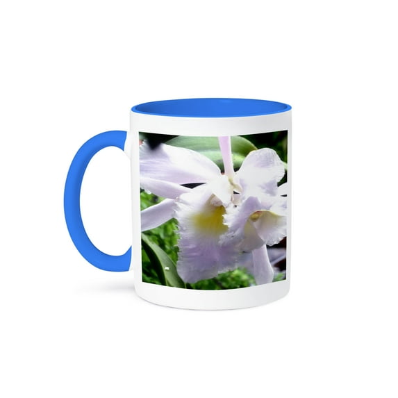 3dRose, A soft beautiful lavender colored orchid flower, 11oz Two-Tone Blue Mug