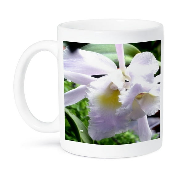 3dRose, A soft beautiful lavender colored orchid flower, 15oz Mug