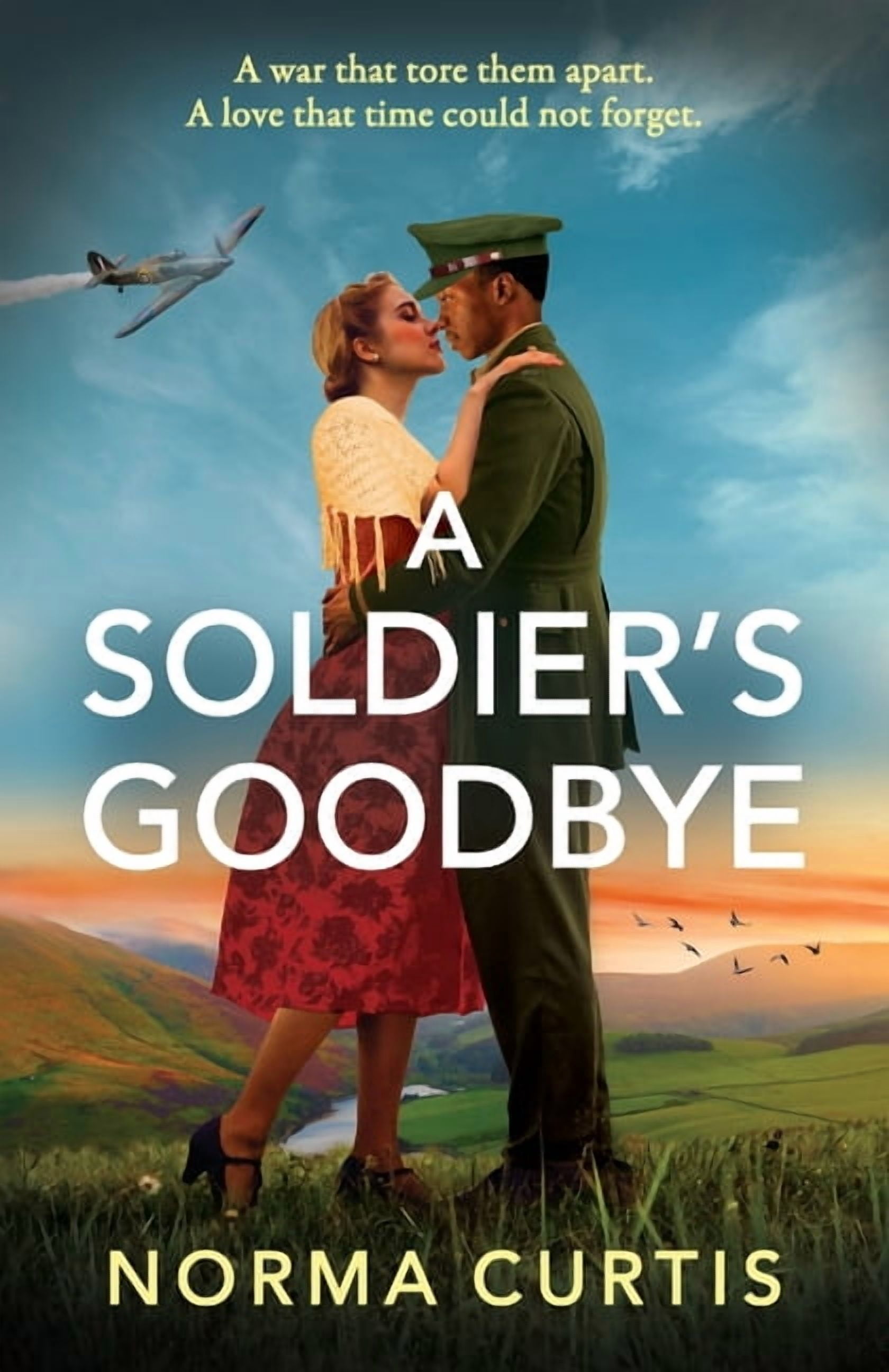 A Soldier's Goodbye, (Paperback)