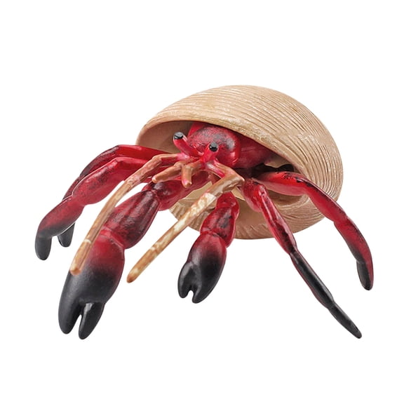 A Solid Plastic Hermit Crab Toy Children'S Simulation Marine Life Figurine Model Decoration Educational