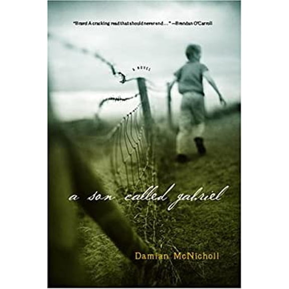 Pre-Owned A Son Called Gabriel Hardcover