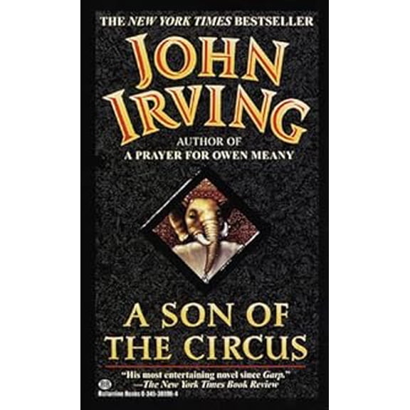 Pre-Owned John Irving | Paperback
