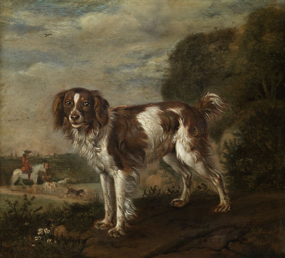A Spaniel Canvas Art - (24 x 18)