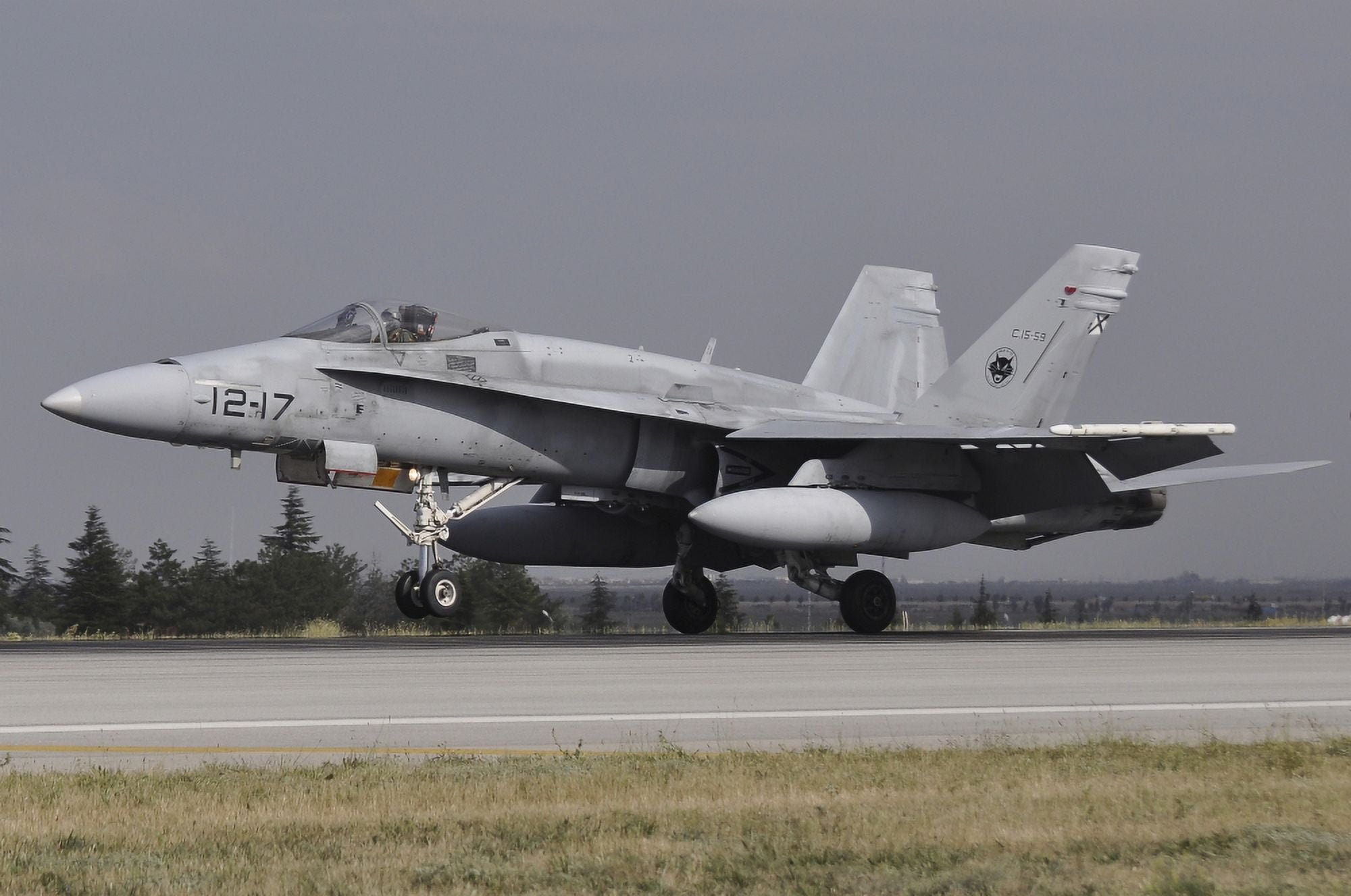 A Spanish Air Force EF-18A aircraft landing at Konya Air Base Turkey Canvas Art - Giorgio CiariniStocktrek Images (34 x 23)
