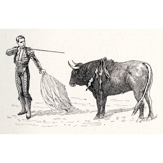 A Spanish Matador Preparing To Kill The Bull In The Final Stage Of The Bullfight. From Enciclopedia Ilustrada Segui