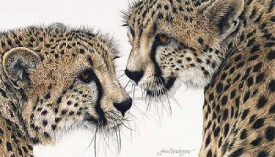 A Special Bond Canvas Art - Jan Henderson (24 x 36)