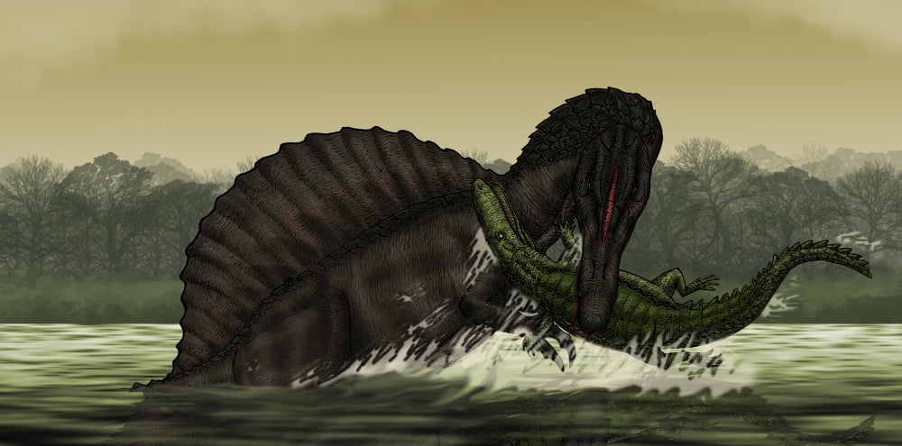 A Spinosaurus catches a young Stomatosuchus Canvas Art - Vitor SilvaStocktrek images (40 x 20)