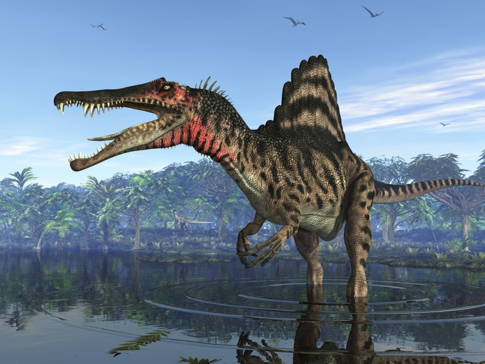 A Spinosaurus searches for its next meal Canvas Art - Walter MyersStocktrek Images (33 x 25)