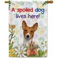 thumbnail image 1 of A Spoiled Dog Lives Here Flowers Spring Summer Garden Flag Basenji Paws Home Decor Banner for Outside Yard 28 X 40 Inch Double Side Style 3, 1 of 6