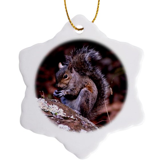 3drose, a Squirrel Enjoying His Meal a Squirrel Eating a Nut Ontop of a Rock, 3 inch Snowflake Porcelain Ornament