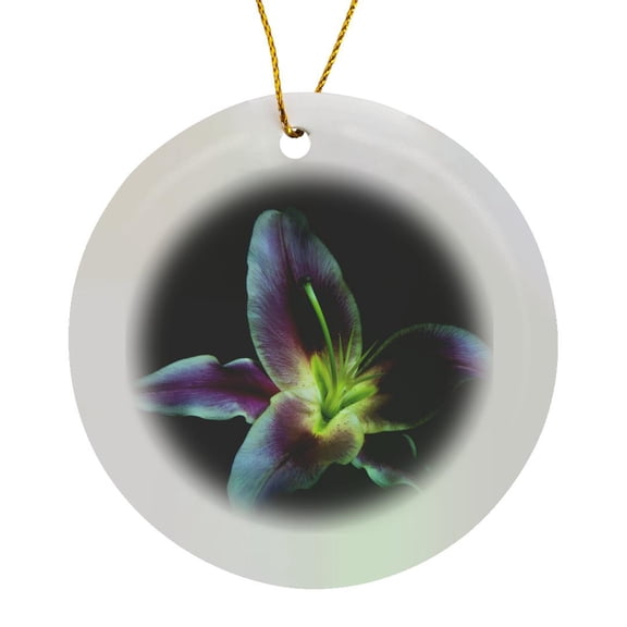 3drose, a Stargazer Lily Against Black Background, Light Painted., Circle Porcelain Ornament