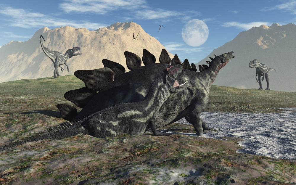 A Stegosaurus and Allosaurus caught in a deadly mud pit Canvas Art - Mark StevensonStocktrek Images (18 x 12)