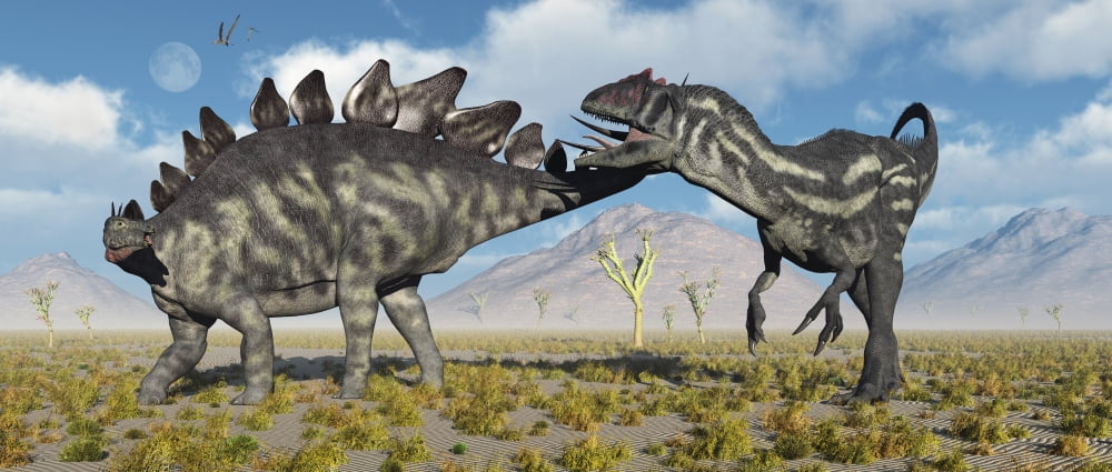A Stegosaurus defending itself from a predatory Allosaurus attack Canvas Art - Mark StevensonStocktrek Images (22 x 10)