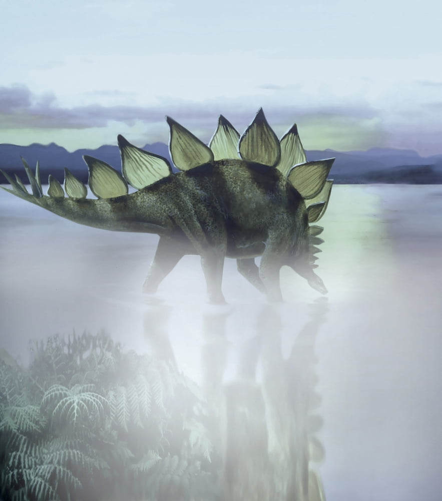 A Stegosaurus dinosaur grazing in a prehistoric lake Canvas Art - Jan SovakStocktrek Images (26 x 30)