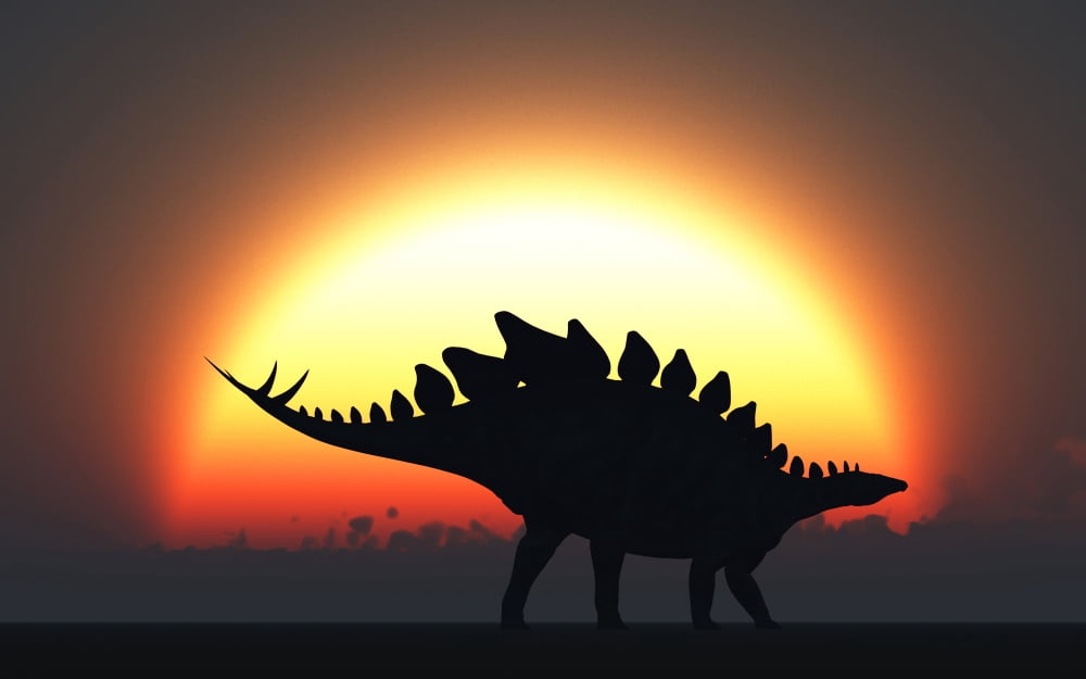 A Stegosaurus silhouetted against the setting Sun at the end of a prehistoric day Canvas Art - Mark StevensonStocktrek Images (18 x 12)
