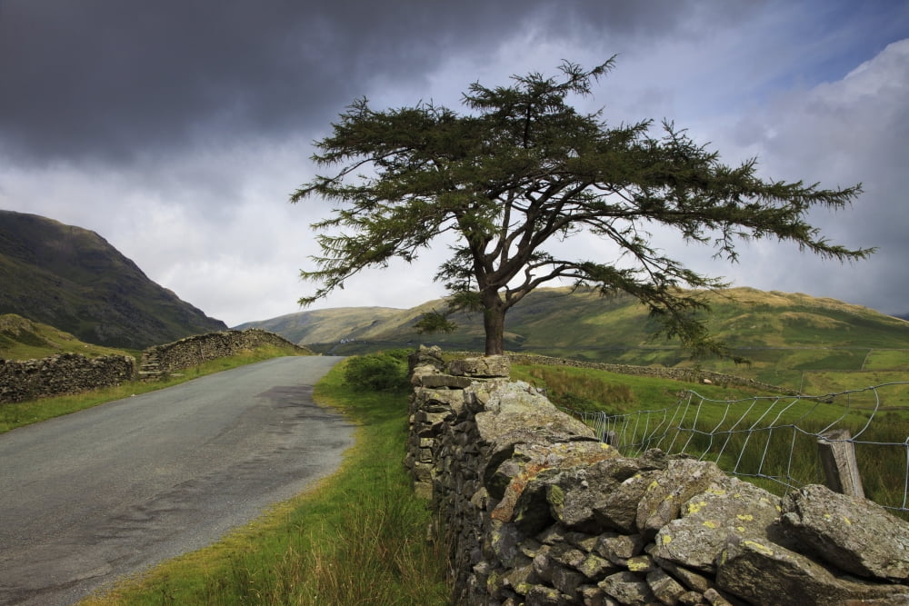 A Stone Fence Running Along A Road Lake District Cumbria England Canvas Art - John Short Design Pics (38 x 24)