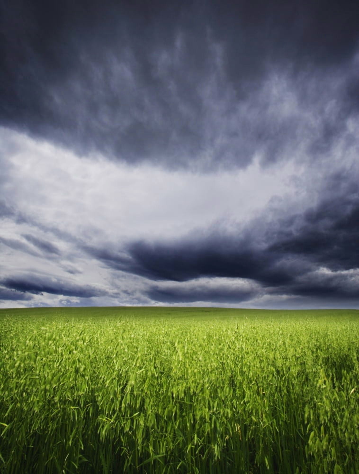A Stormy Sky Canvas Art - Kelly Redinger Design Pics (12 x 16)