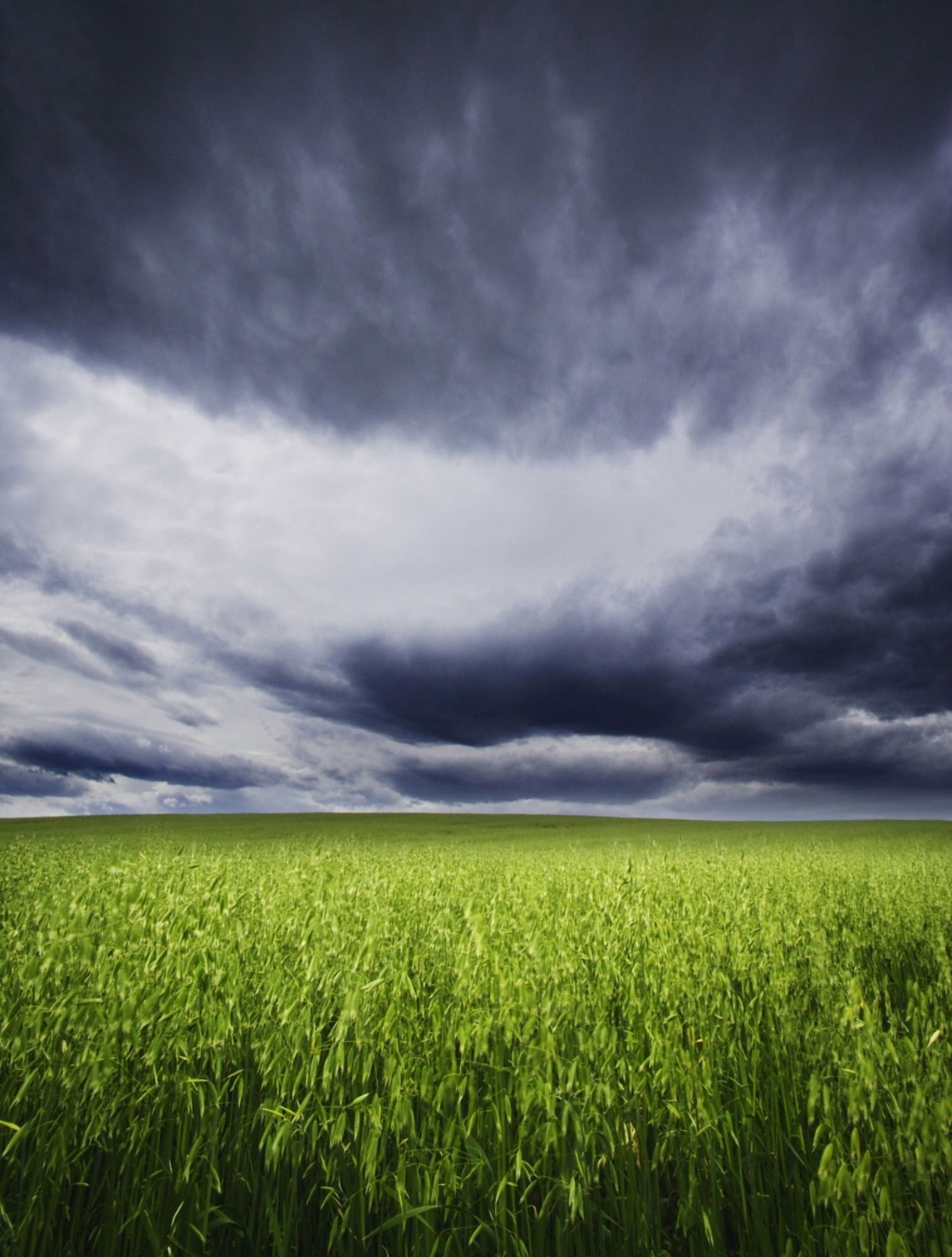 A Stormy Sky Canvas Art - Kelly Redinger Design Pics (24 x 32)