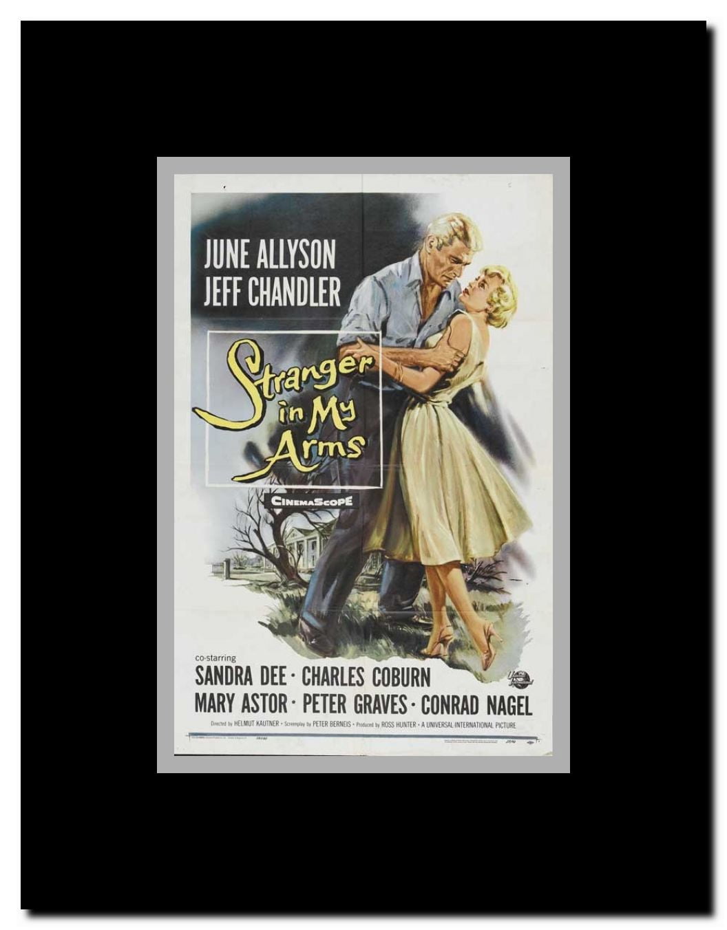 A Stranger in My Arms Framed Movie Poster
