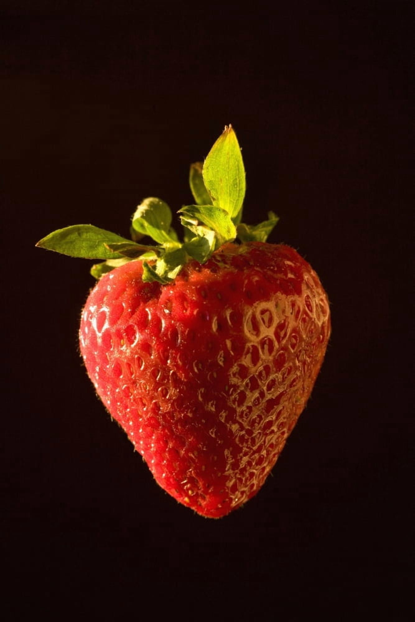 A Strawberry Canvas Art - Michael Interisano Design Pics (12 x 19)