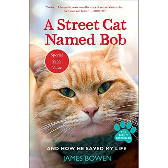 Pre-Owned A Street Cat Named Bob: And How He Saved My Life (Paperback) 1250217385 9781250217387