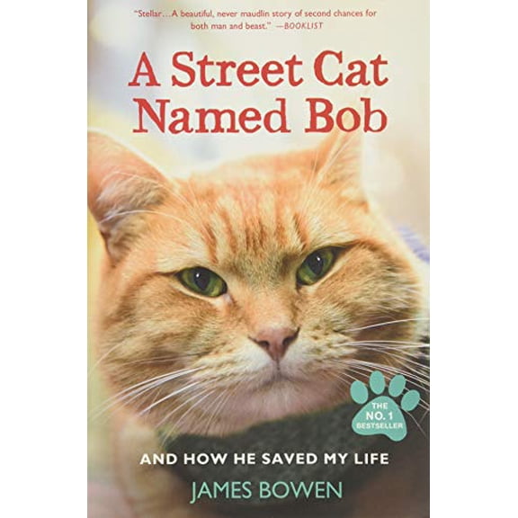 Pre-Owned A Street Cat Named Bob and How He Saved My Life (Paperback) 1250048672 9781250048677
