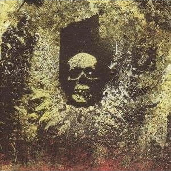 Pre-Owned A Student's Guide to Public Administration 9780286110020 Used