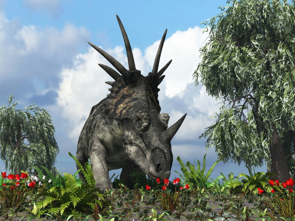 A Styracosaurus samples flowers of the order Ericales Canvas Art - Walter MyersStocktrek Images (33 x 25)