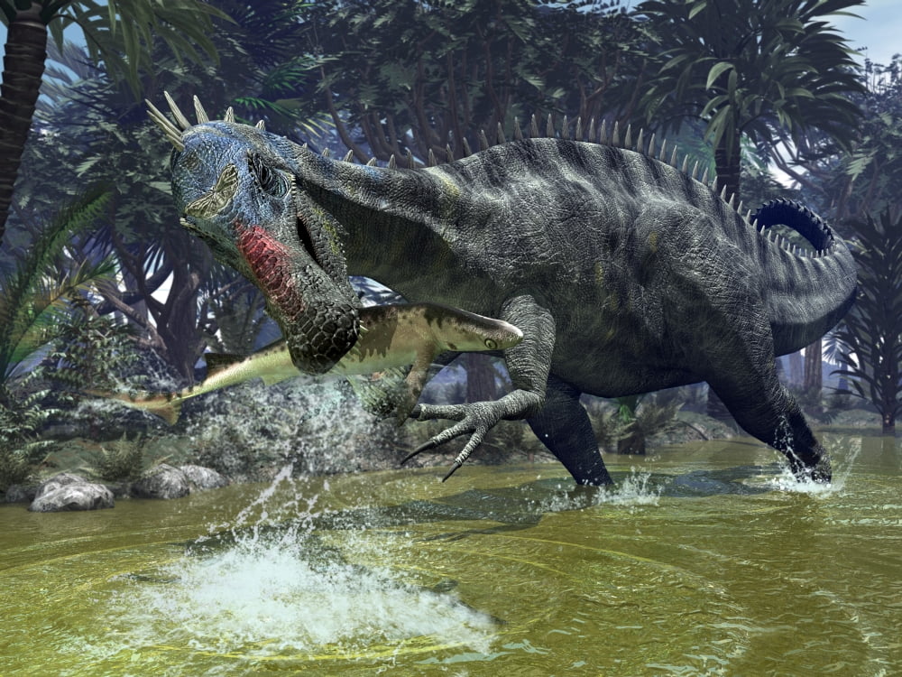 A Suchomimus snags a shark from a lush estuary Canvas Art - Walter MyersStocktrek Images (17 x 13)